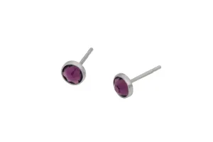 Amethyst Swarovski Crystal Bezel (Pure Titanium Stud Earrings)