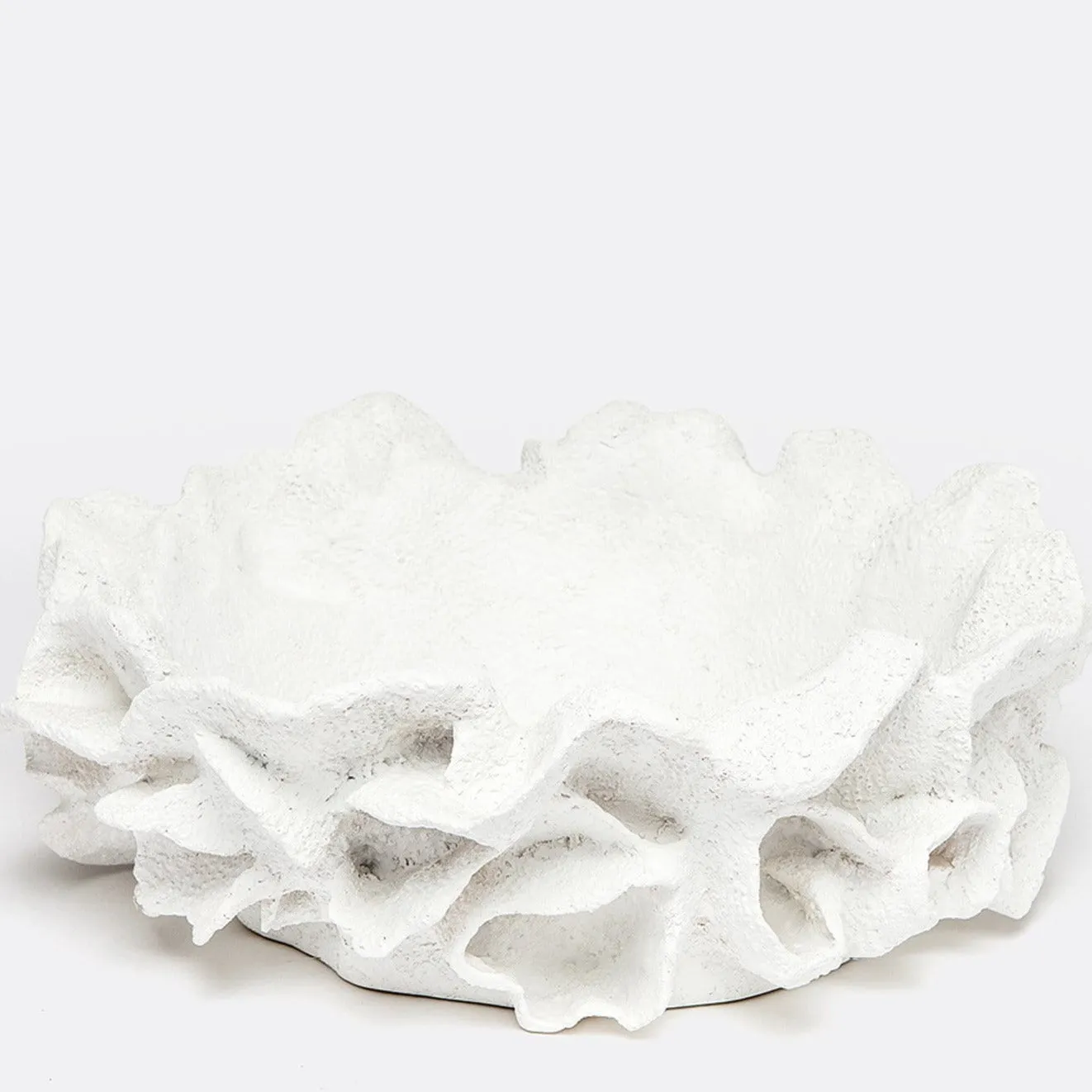 Coco Bowl