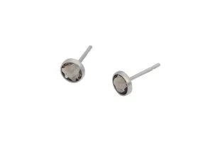 Greige Crystal Pure Titanium Stud Earrings